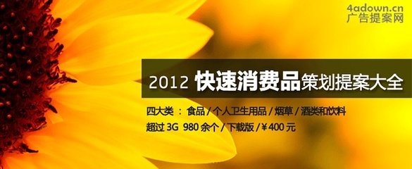 2012年快速消費品營銷策劃提案——個人衛(wèi)生用品銷售專案